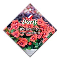 Катарантус Тату Мандарин Агроуспех
