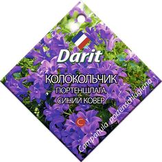 Колокольчик Портеншлага Синий ковер Агроуспех