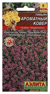 Тимьян Ароматный ковер АЭЛИТА
