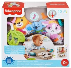 Мягкая игрушка Mattel Fisher-Price Музыкальная подушка под животик GRR01