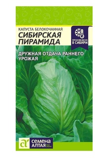 Капуста б/к сибирская Пирамида Семена Алтая