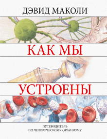 Как Мы Устроены. путеводитель по Человеческому Организму