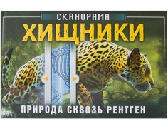 Хищники. Природа сквозь рентген. Книга-сканорама Мозаика Синтез
