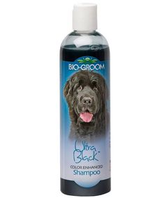 Шампунь для кошек и собак Bio-Groom Ultra Black концентрат для темной шерсти, 355 мл