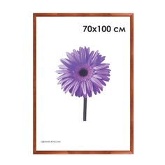 Рамка премиум 70х100 см, дерево, багет 26 мм, "Linda", орех, 0065-70-0006 No Brand