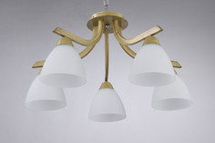Люстра Hoff FR5058PL