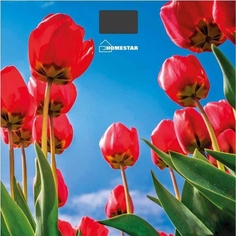 Весы напольные HOMESTAR HS-6001I