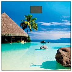 Весы напольные HomeStar HS-6001H Blue