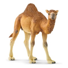 Фигурка Schleich Дромадер