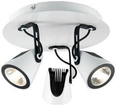 Спот Lussole LSN-4101-03 led