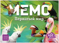 Настольная игра Нескучные Игры Мемо Пернатый мир