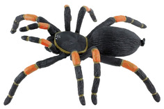 Фигурка Safari ltd Тарантул