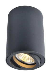 Потолочный светильник ARTE LAMP Sentry A1560PL-1BK