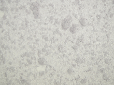 Жидкие обои SILK PLASTER А210 Absolute