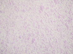Жидкие обои SILK PLASTER А205 Absolute