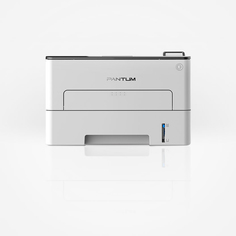 Лазерный принтер Pantum P3010DW