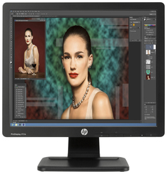 Монитор HP P17A (F4M97AA)