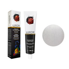 Корректор Luxor Professional Color 00-N