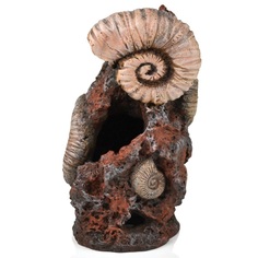 Декорация для аквариума biOrb Старая раковина, 11х10,3х19,8 см