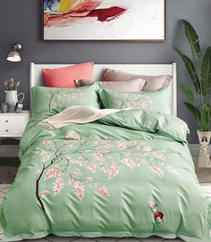 Постельное белье из фланели TANGO MOMAE111 50х70 (2шт) евро