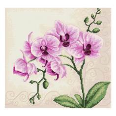 Наборы для вышивания Luca-S B2227 Орхидеи 23х22,5 см