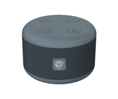 Портативная колонка Prestigio SmartVoice Grey