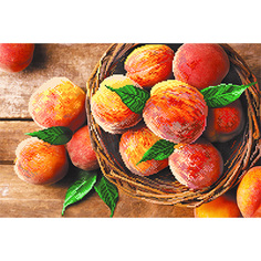 Схемы для вышивания бисером Райские персики 4187, 37x49 см от Матренин посад