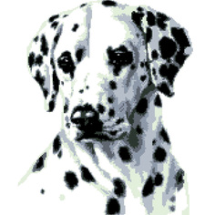 Набор для вышивания крестом "Далматинец", арт. 2100 Nitex