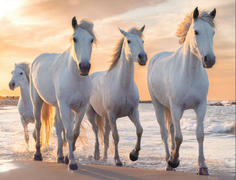 Алмазная мозаика Цветной Тройка белых скакунов