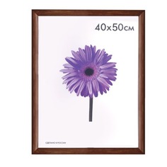 Рамка премиум 40х50 см, дерево, багет 26 мм, "Berta", орех, 0006-16-0006 No Brand