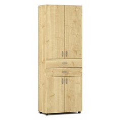 Шкаф комбинированный Лидер СТ.029.800-01 Баронс