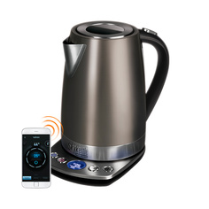 Умный чайник Redmond SkyKettle M173S-E Silver