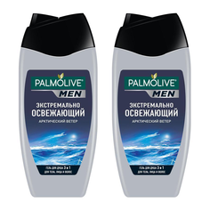 Гель для душа PALMOLIVE FOR MEN ACTIVE 3в1/Арктический ветер 250мл (набор из 2 шт)