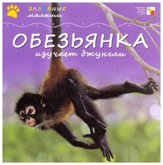 Обезьянка Изучает Джунгли Мозаика Синтез
