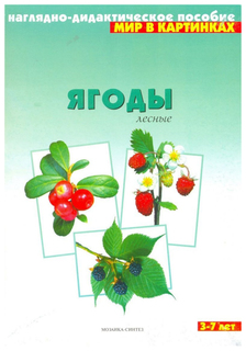 Ягоды лесные Мозаика Синтез