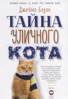 Книга Тайна уличного кота Рипол Классик