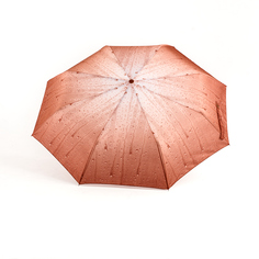 Зонт женский Raindrops RD0523825 коричнево-красный