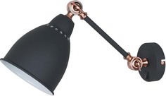 Настенный светильник ARTE LAMP Braccio