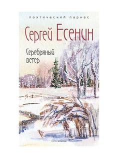 Книга Серебряный ветер Рипол Классик
