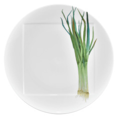 Тарелка обеденная Noritake "Овощной букет.Зелёный лук" 27см