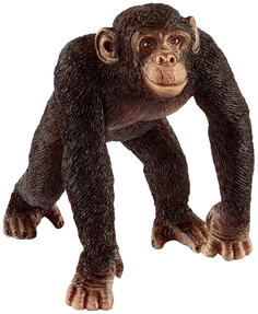 Фигурка животного Schleich Самец шимпанзе 14817