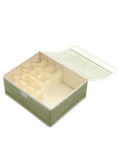Короб для хранения с ячейками и прозрачной крышкой, 44х27х11 см (Цвет: Зеленый ) No Brand