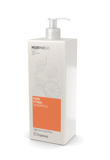 Шампунь против перхоти MORPHOSIS PURIFYING SHAMPOO, 1000 мл new Framesi