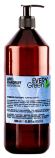 Шампунь Dikson Every Green Anti Dandruff Purificante 1 л