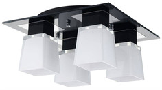 Люстра потолочная Lussole LSC-2507-04