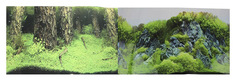 Фон для аквариума Prime Затопленный лес/Камни с растениями, винил, 60x30 см P.R.I.M.E.