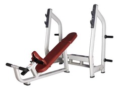 Скамья со стойкой наклонная Bronze Gym H-025