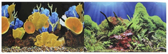 Фон для аквариума Prime Морские кораллы/Подводный мир, винил, 60x30 см P.R.I.M.E.