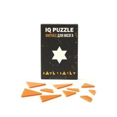 Пазл IQ Puzzle 10 деталей