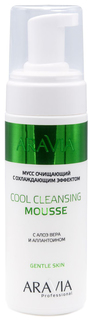 Мусс Aravia Professional Cool Cleansing Mousse 160 мл